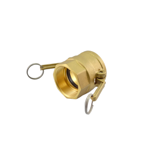 Acoplador Fêmea NPT 25.4mm 1 Pol em Latão ERT-D