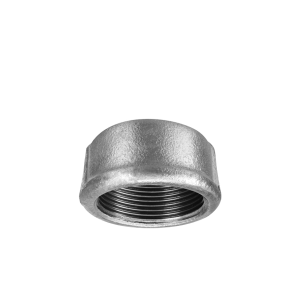 Tampão com Rebordo BSP 1 Pol - Tupy